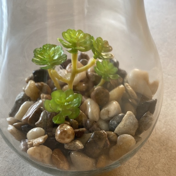 Imitation plant in light Bulb Press top for light  Takes a 3v bulb - Picture 2 of 10